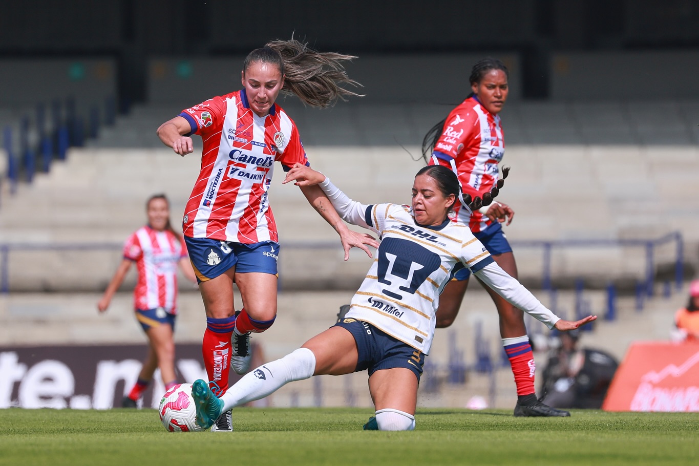 Pumas MX Femenil Pumas MX Femenil